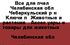 Все для пчел - Челябинская обл., Чебаркульский р-н, Ключи п. Животные и растения » Аксесcуары и товары для животных   . Челябинская обл.